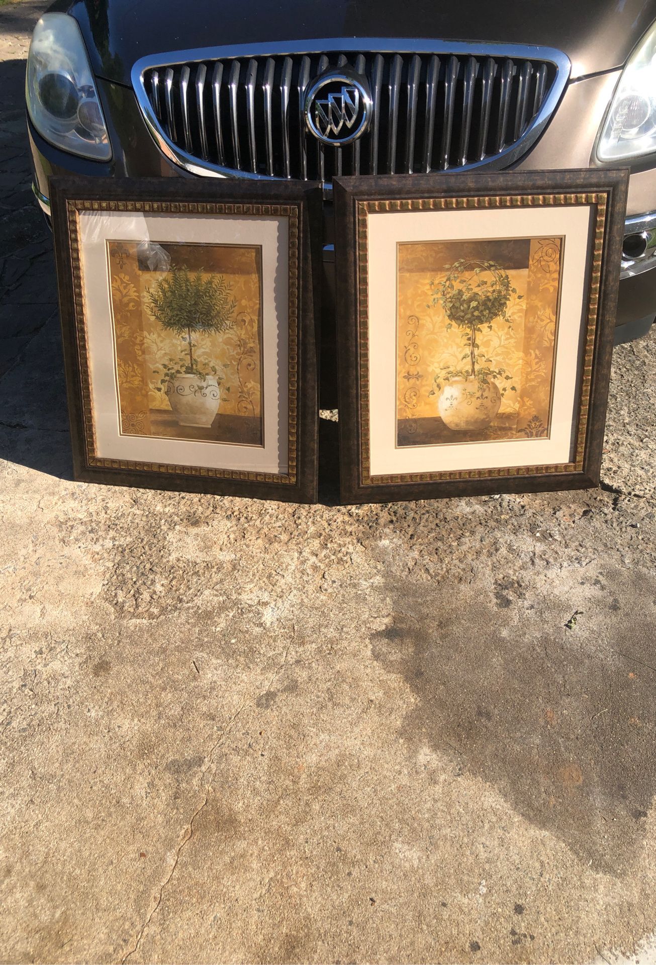 picture frame brown black color topiary