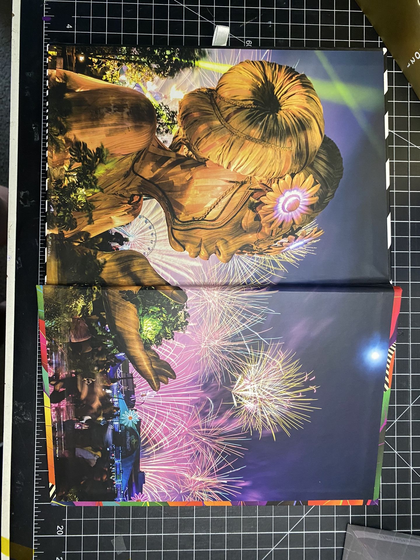 EDC 2021 (everything included)