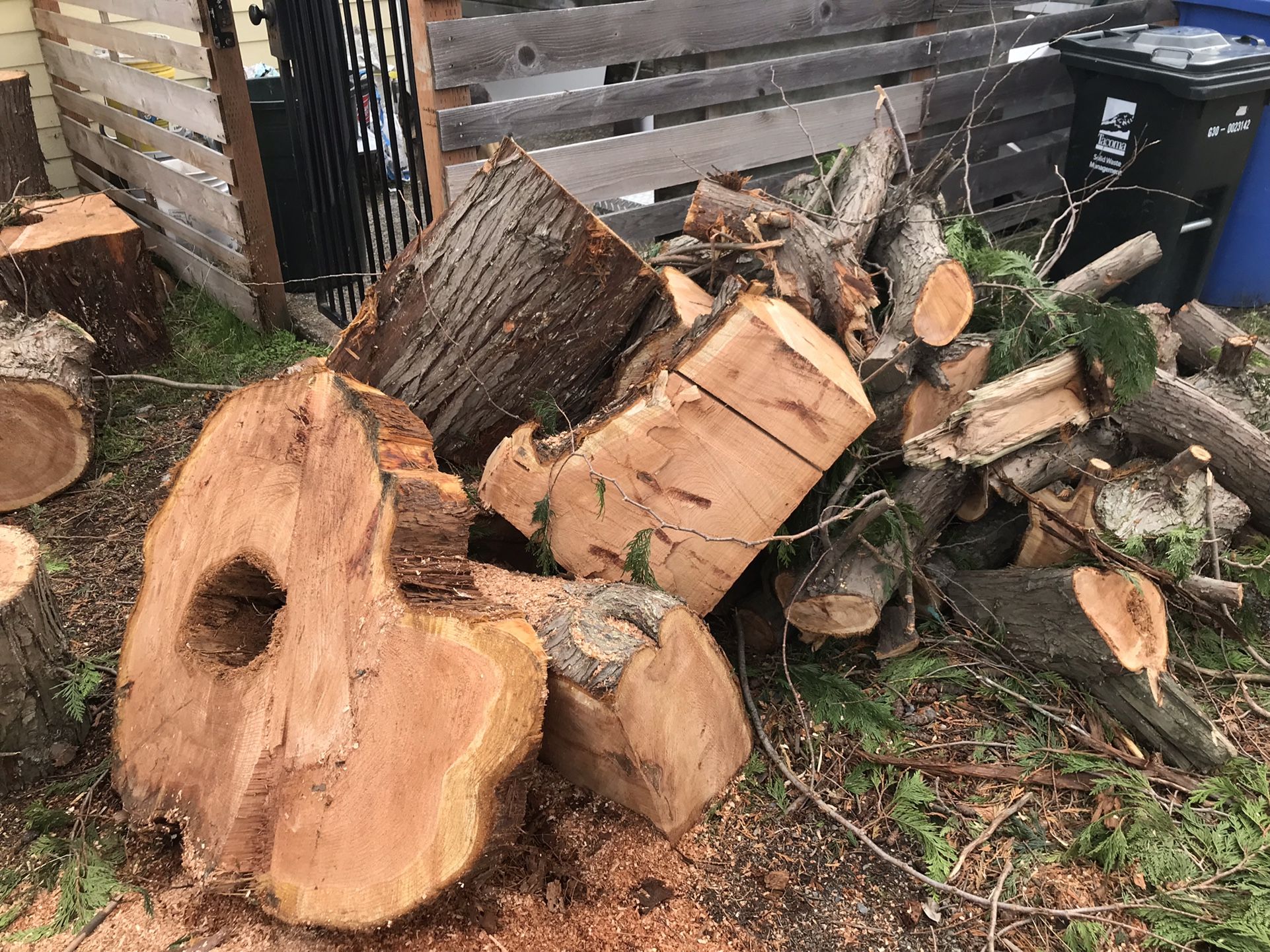 Cedar Rounds