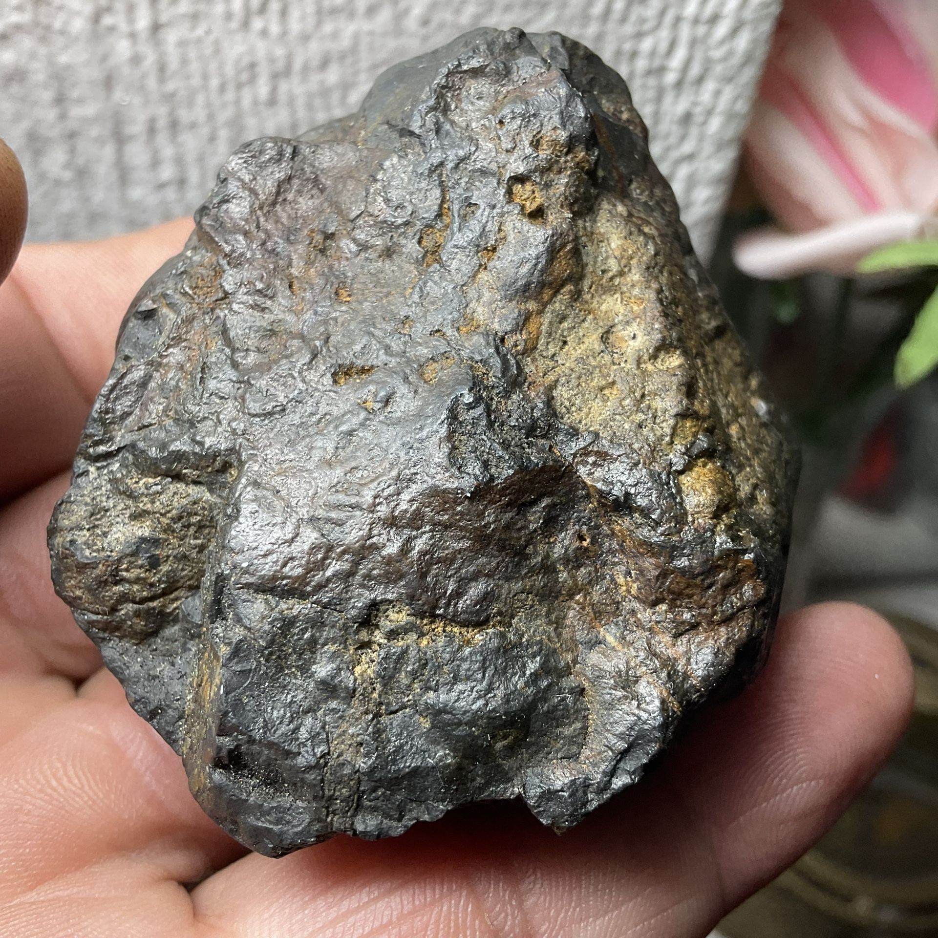 312 Grammies Meteroite