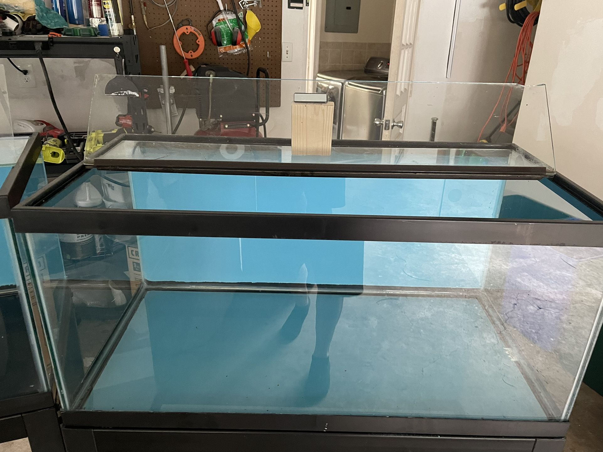 40 Gallon Tank With Self Leveling Metal Stand Lid And Lights