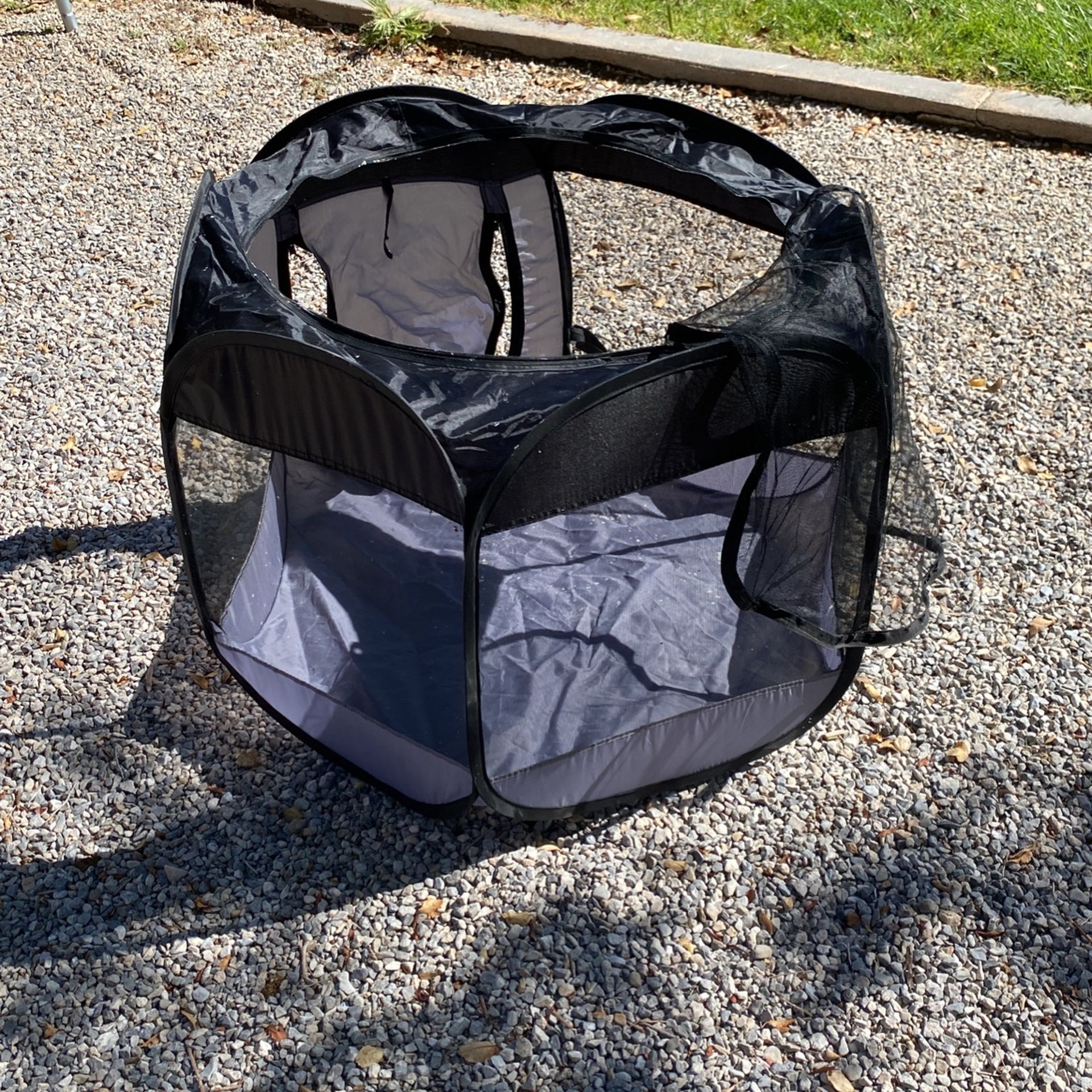 Dog/car Play House