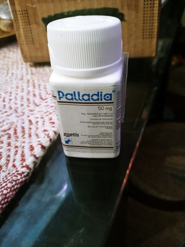 Pastillas Para Perros