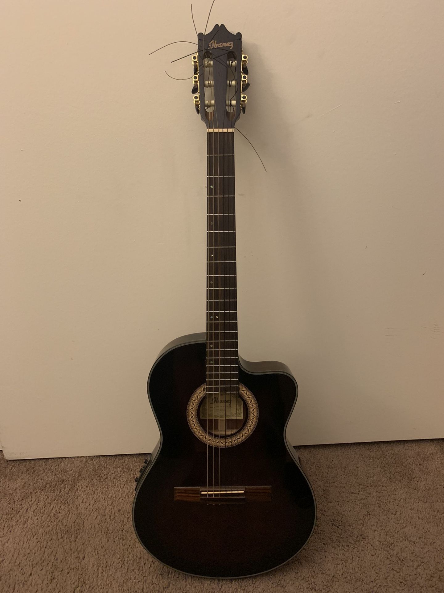Ibanez Acoustic Electric Guitar