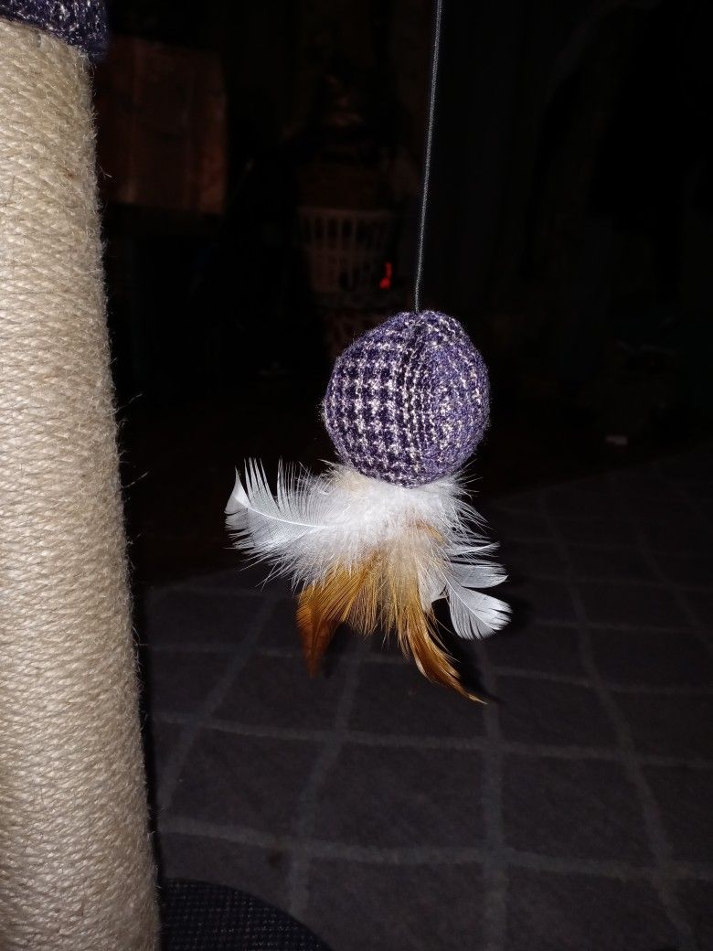 Cat Scratcher