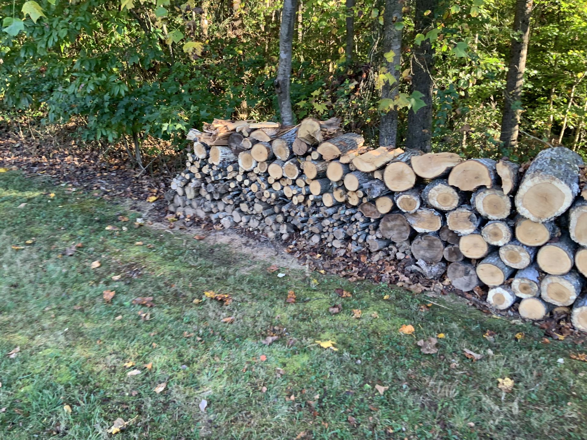 Free Wood