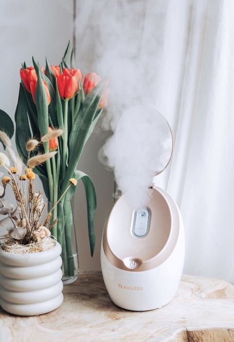 Flawless facial steamer