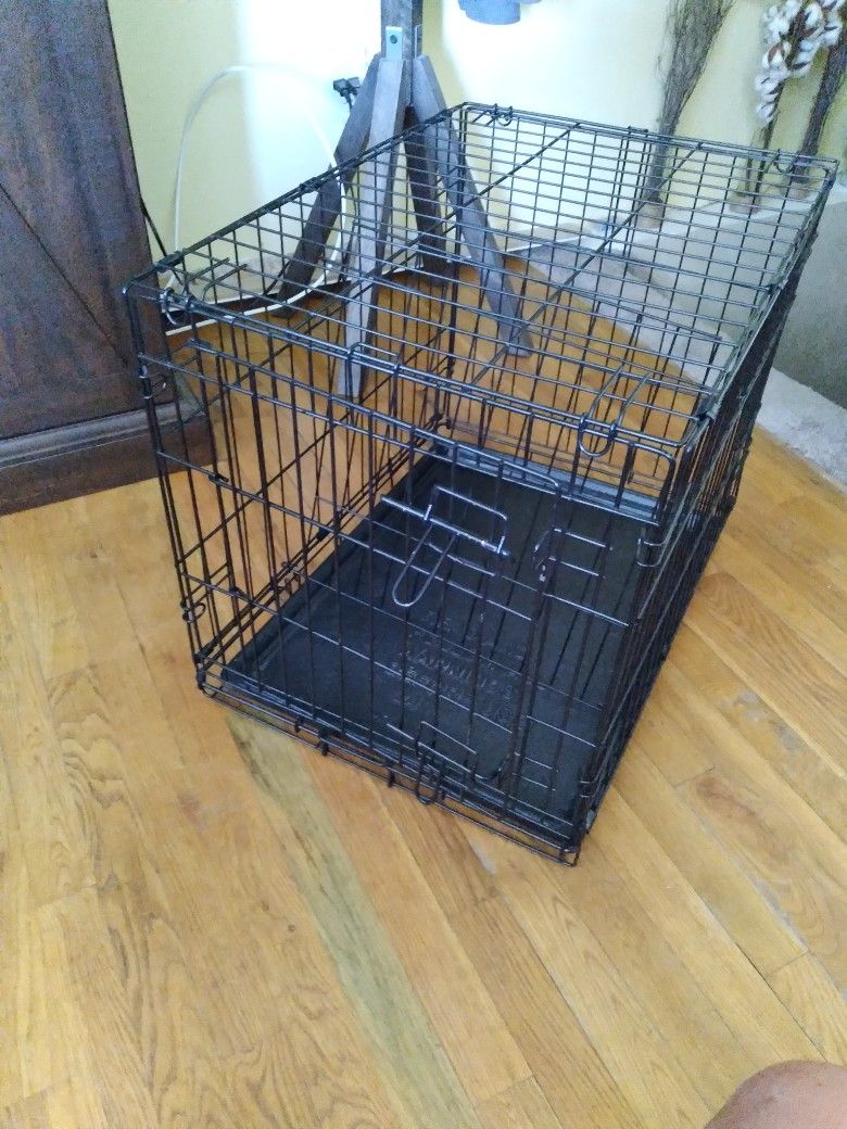 Medium Dog Kennel