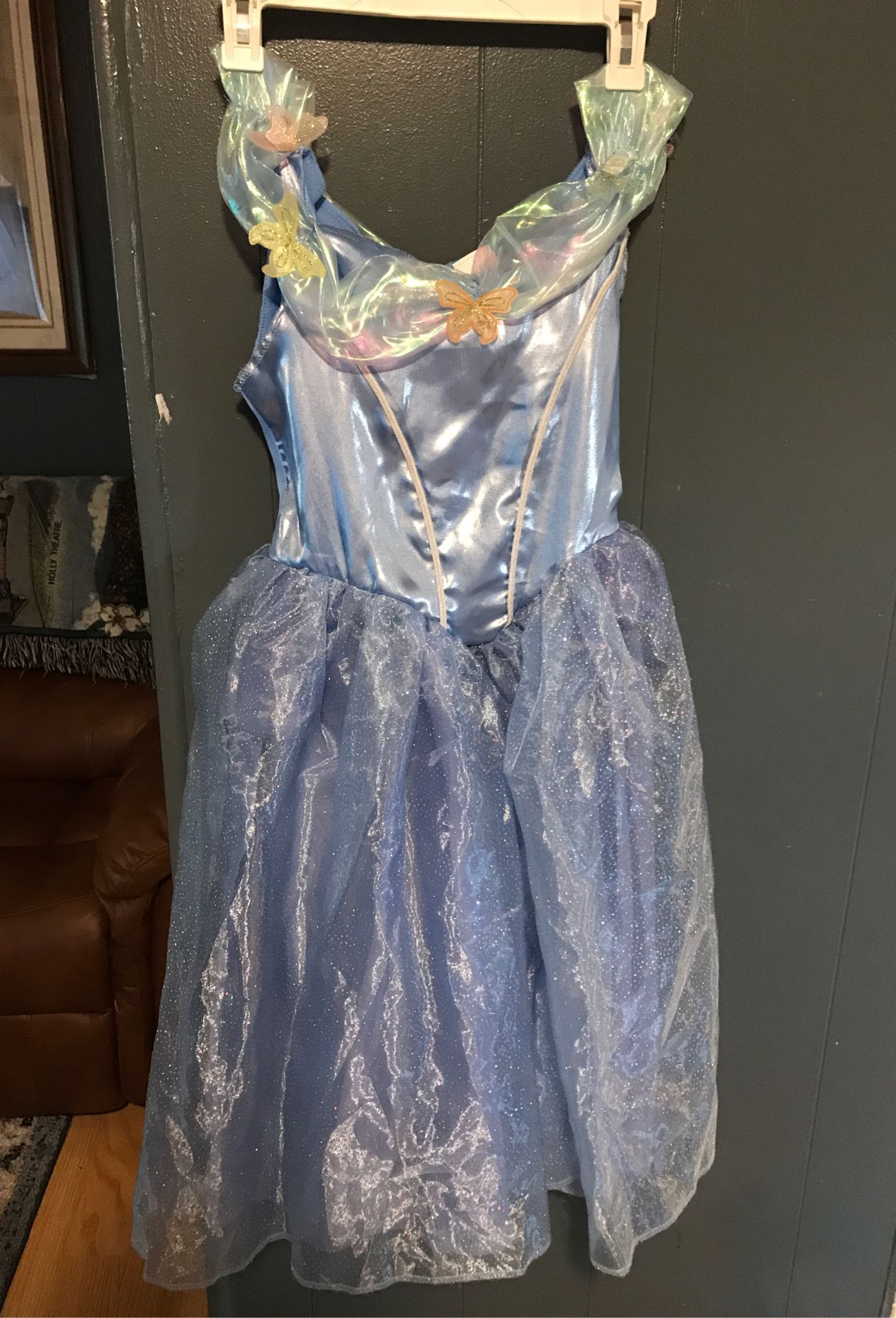 Cinderella costume