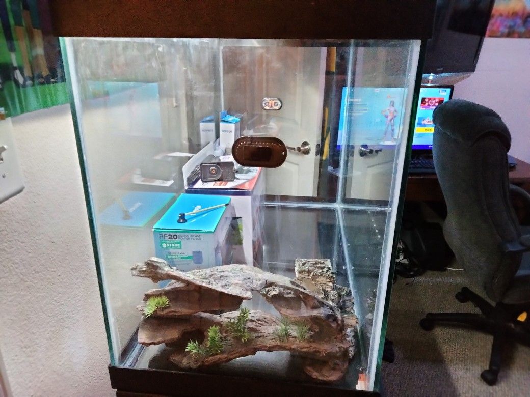 Fresh Water Fish Tanks