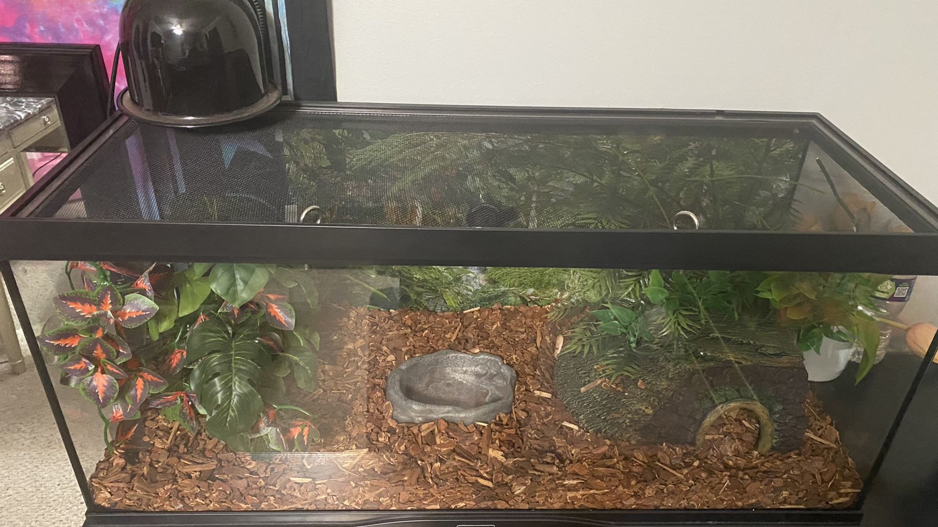 reptile tank