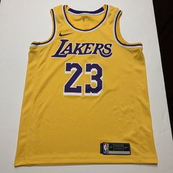 Nike Swing Man Lebron James #23 Lakers Jersey M Thumbnail