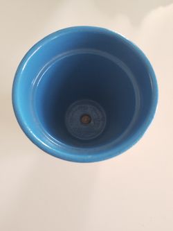 Orange/Blue Potato Pot Thumbnail