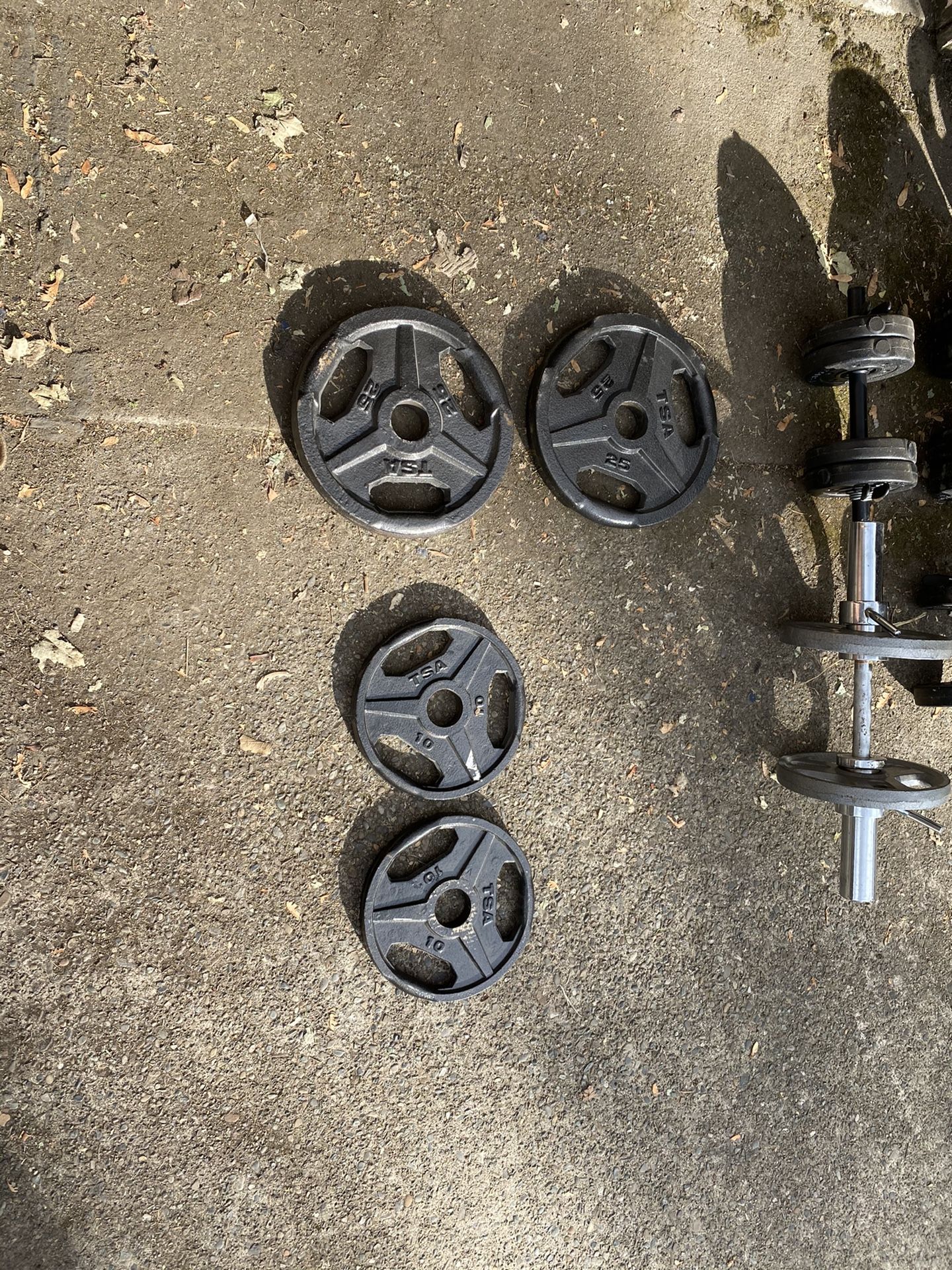 Olympic Weights & Workout Equipment