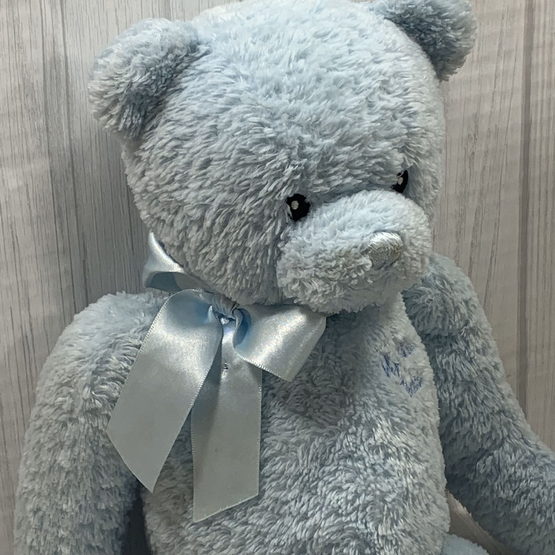 Baby Gund Plush Baby’s First Teddy Bear Stuffed Animal Lovie