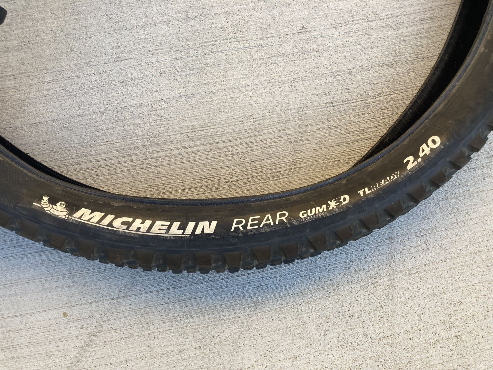 Mountain Bike Tires - Michelin Wild Enduro