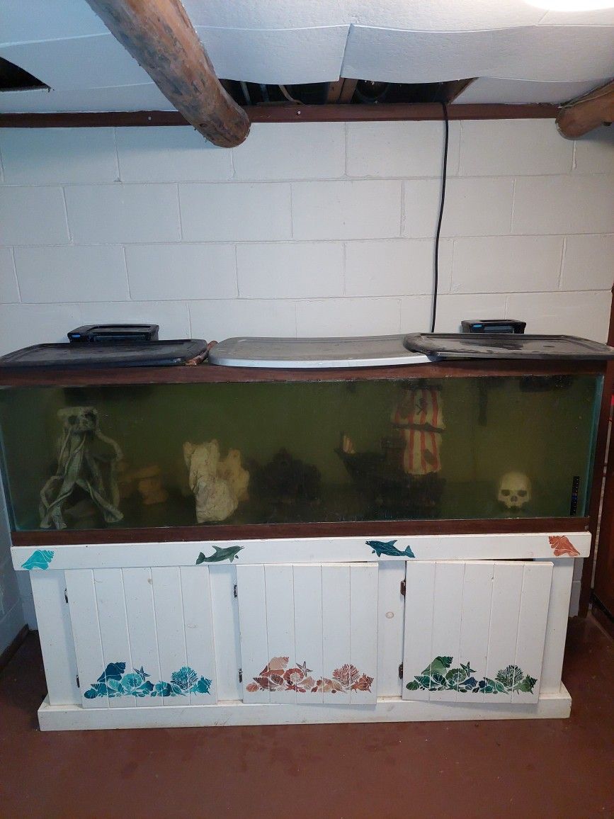 5 Piranhas, 120 Gallon Fish Tank, Tank Accessories, Tank Cleaner, 2 Tank Filters