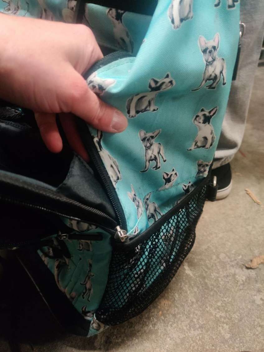 Rolling Backpack Chihuahua Print