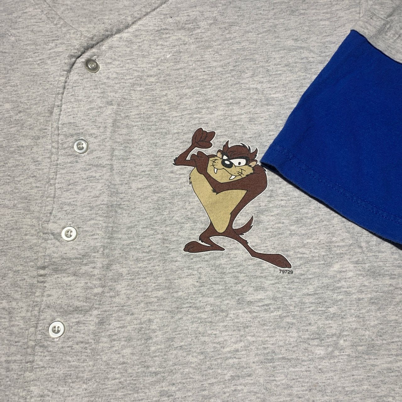 Vintage 90s Taz looney tunes baseball tee shirt