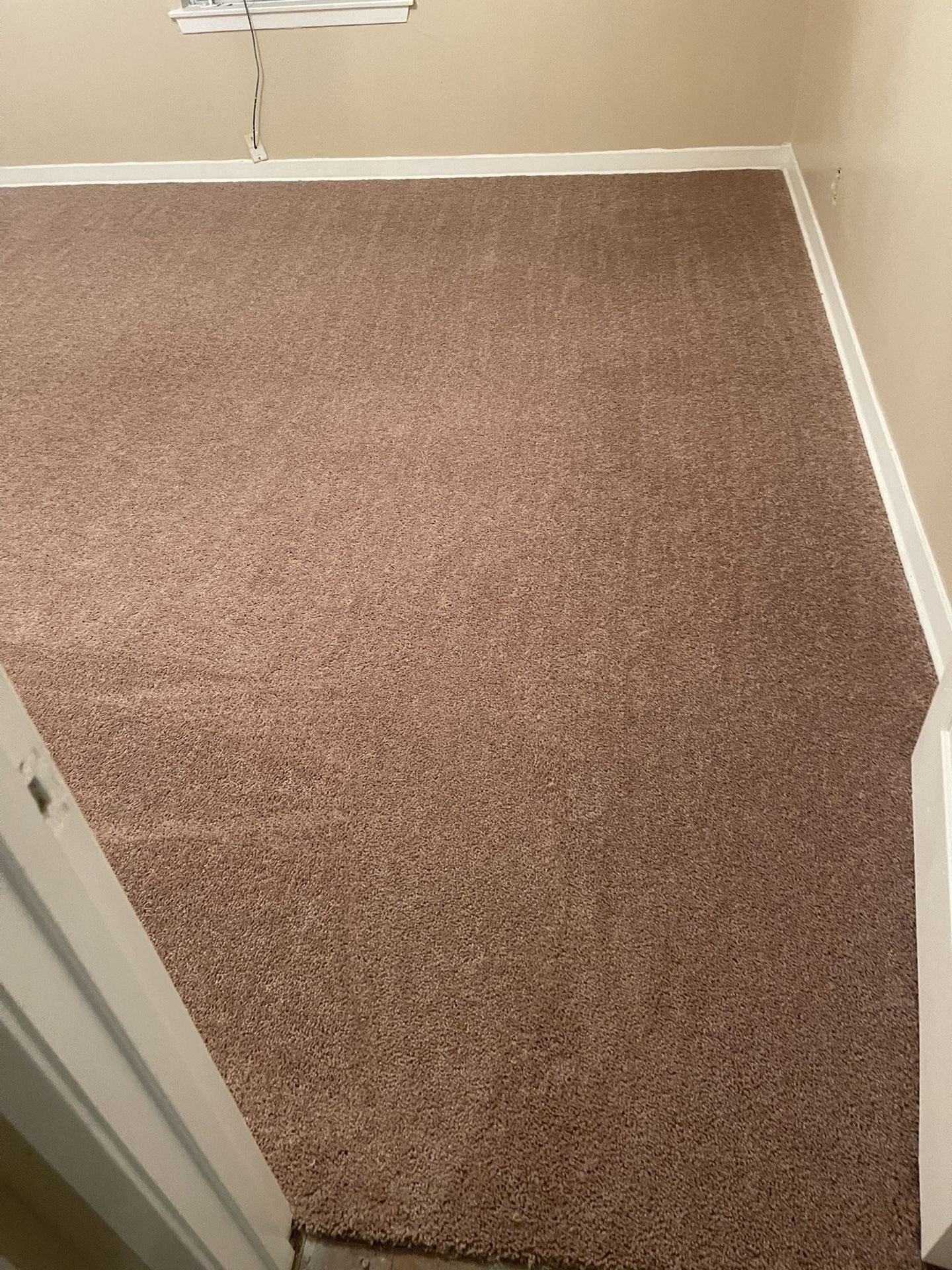 Carpet For Sale