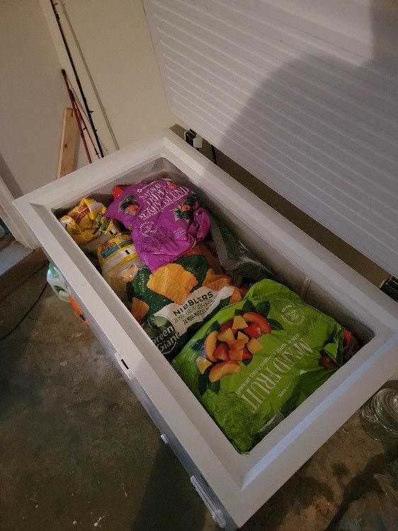 Chest Freezer