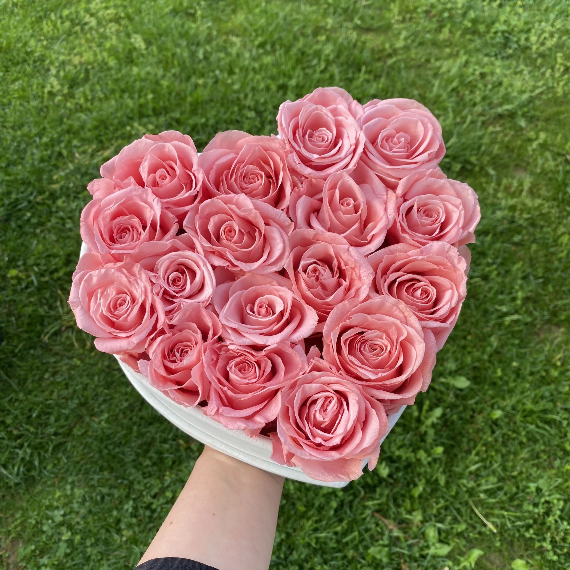Baby Pink Velvet Heart Shape Eternal Box Roses birthday prom Gift Real Preserved baby pink Flowers Long Lasting present Bday anniversary immortal
