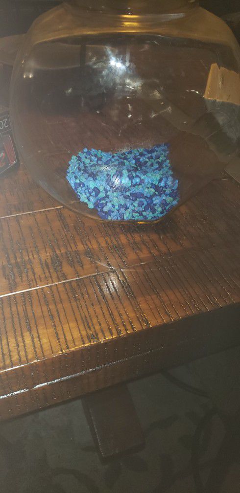 Fish bowl or cookie Jar