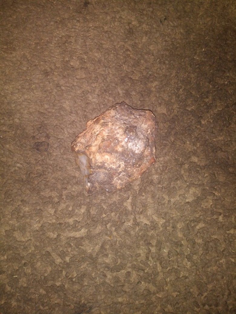 Fossilized Dinosaur Poop