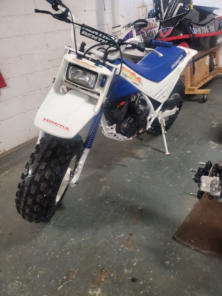 Honda Fat Cat