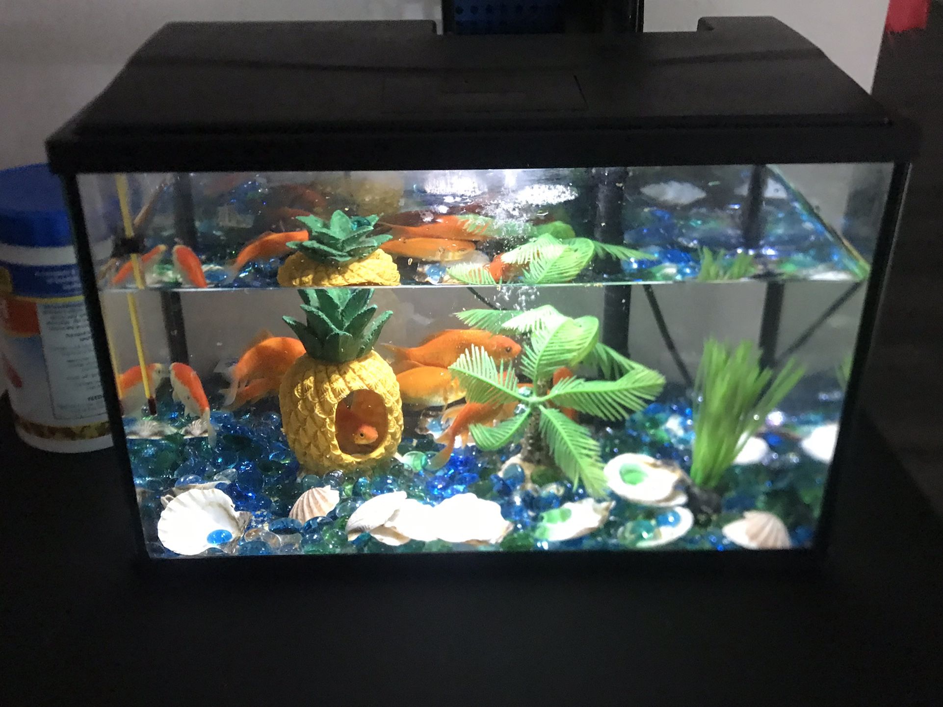 Fish Tank