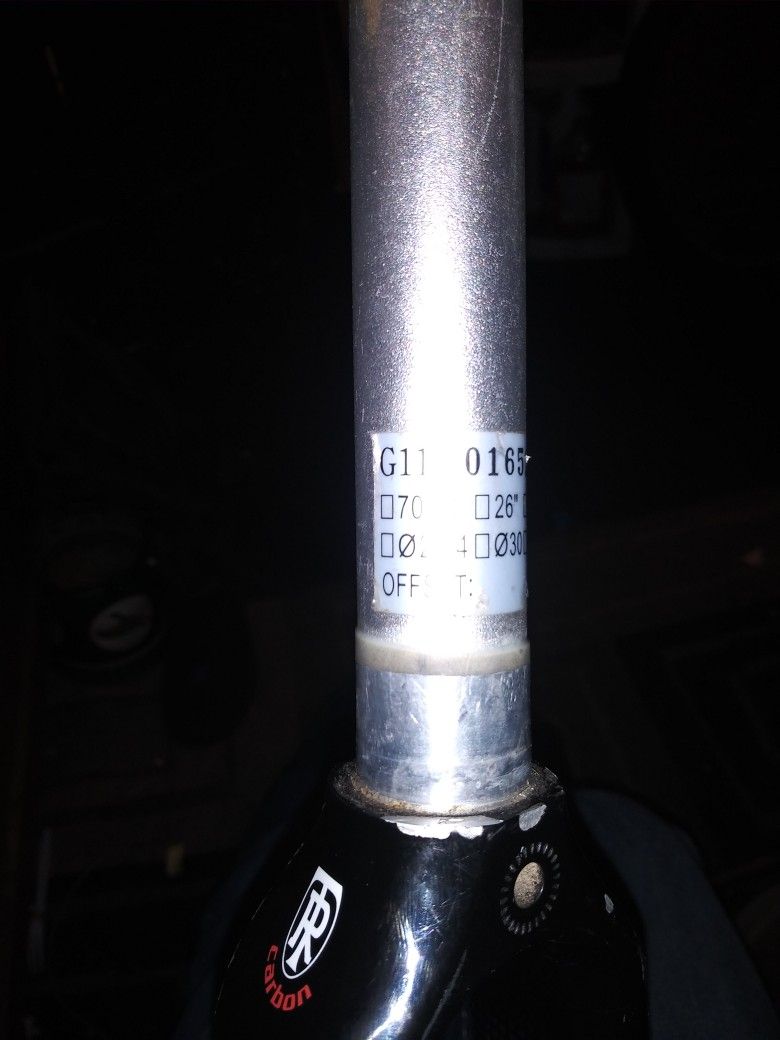 Road Bike Ritchey Carbon Forks