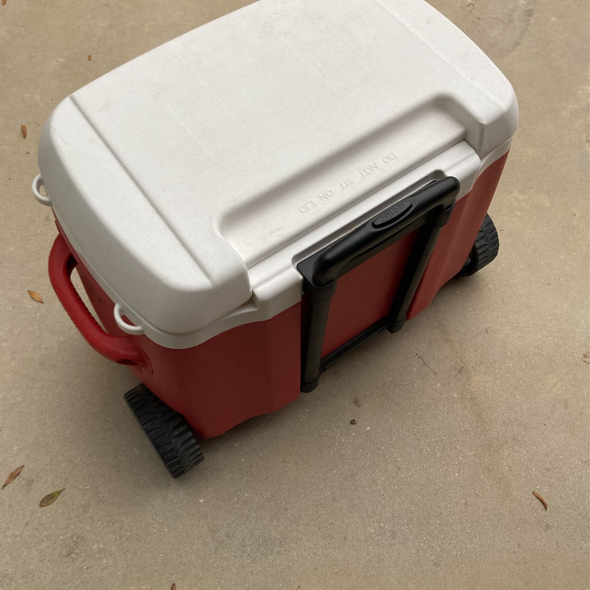 Cooler Igloo