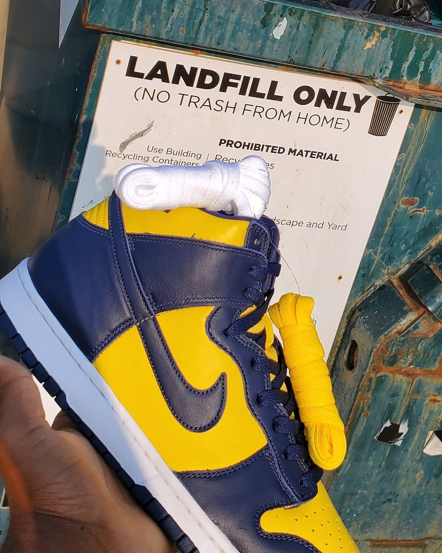 MICHIGAN VS MICHIGAN STATE NIKE DUNKS