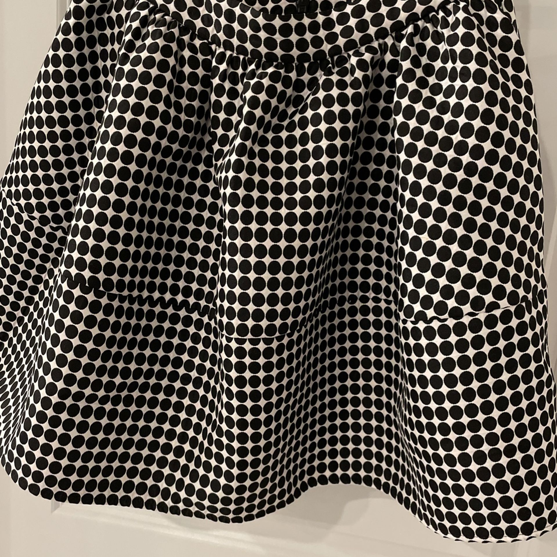 Express Skirt
