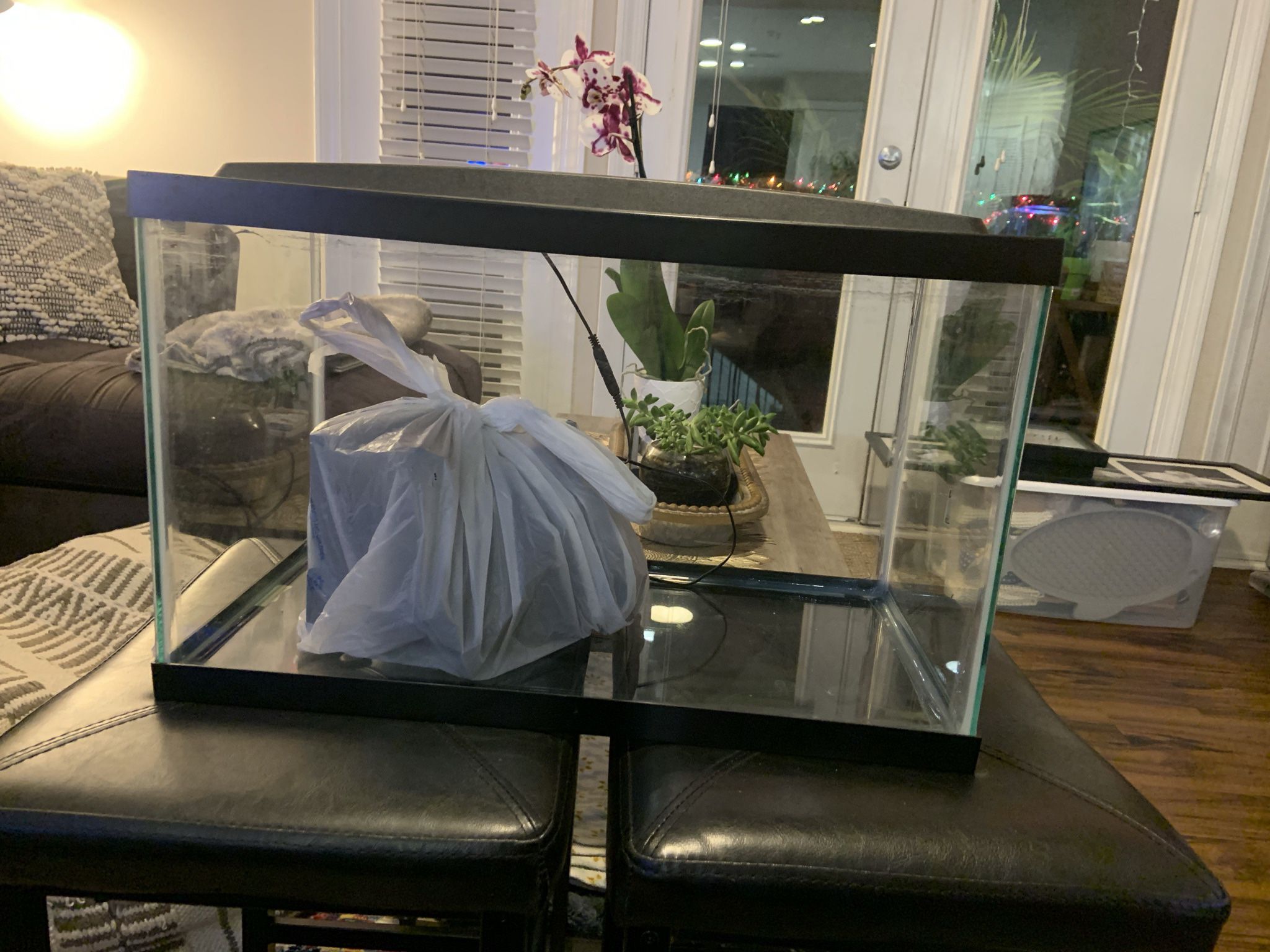 10 Gallon Aqueon Fish Tank - Cleaned For Pick-Up :)