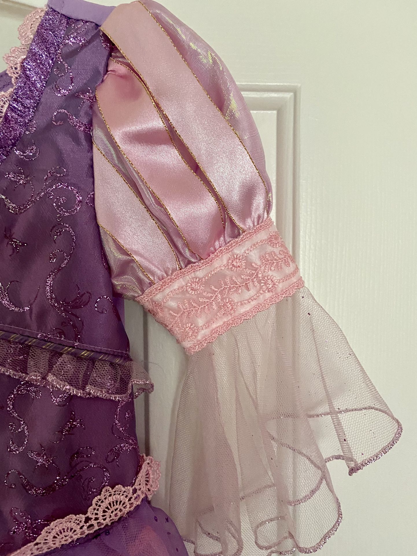 Disney Store Authentic Princess Tangled Rapunzel Costume