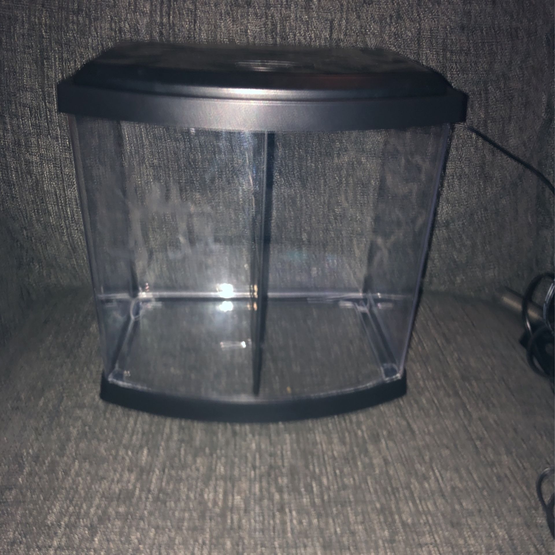 Fish Tank,food,decoration