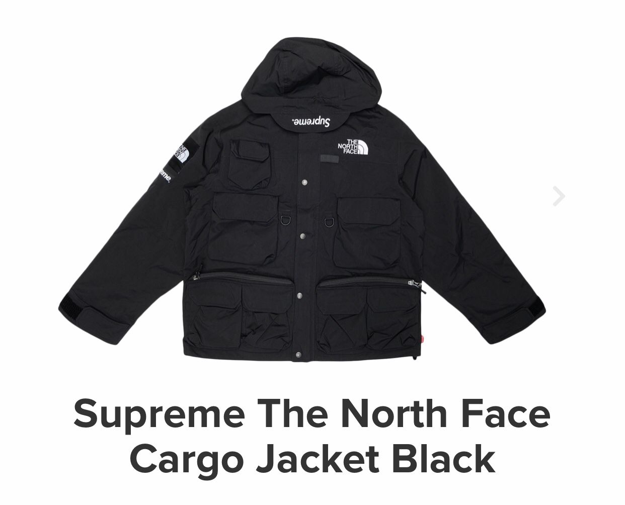 Supreme The North Face Cargo Jacket
