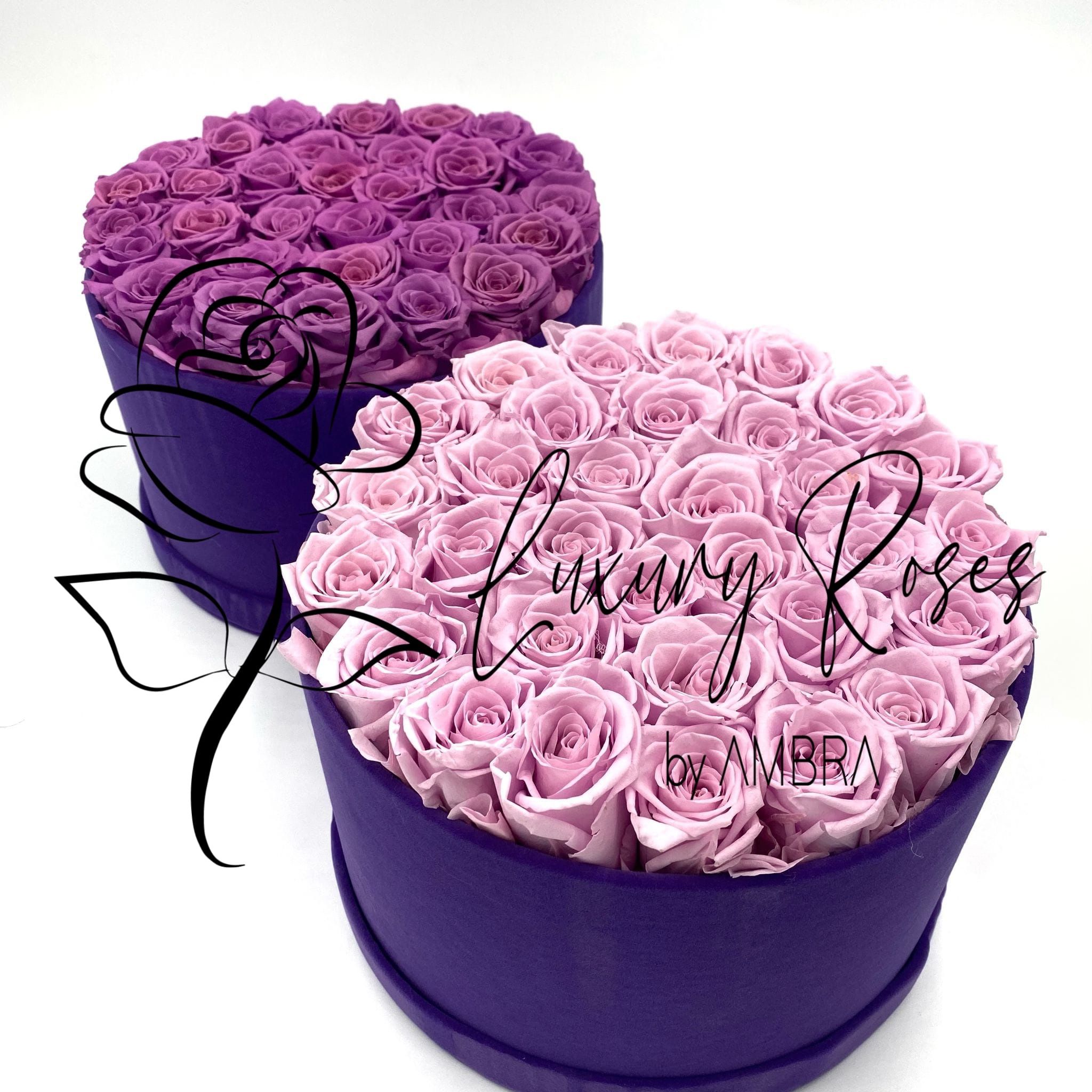 Eternal velvet box roses real preserved roses purple flowers immortal roses anniversary birthday immortal lasting Velvet Box Present
