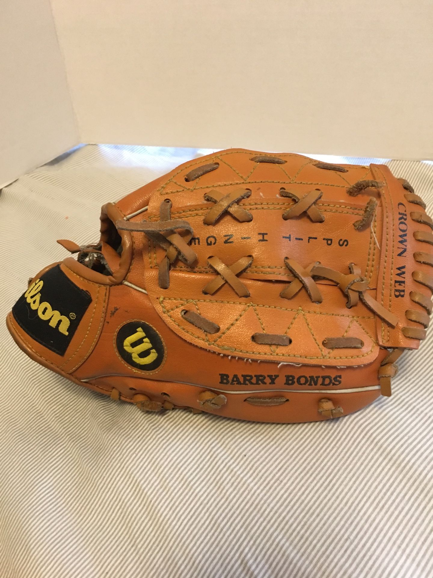 Wilson youth baseball glove