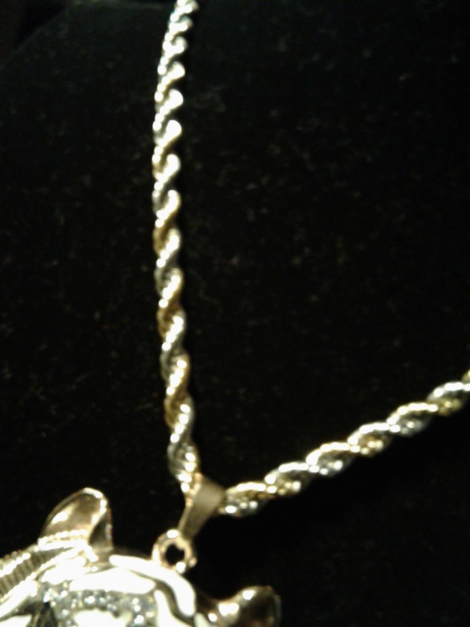 Tiger Pendant on a Gold/Silver Stainless Steel Rope. 22$