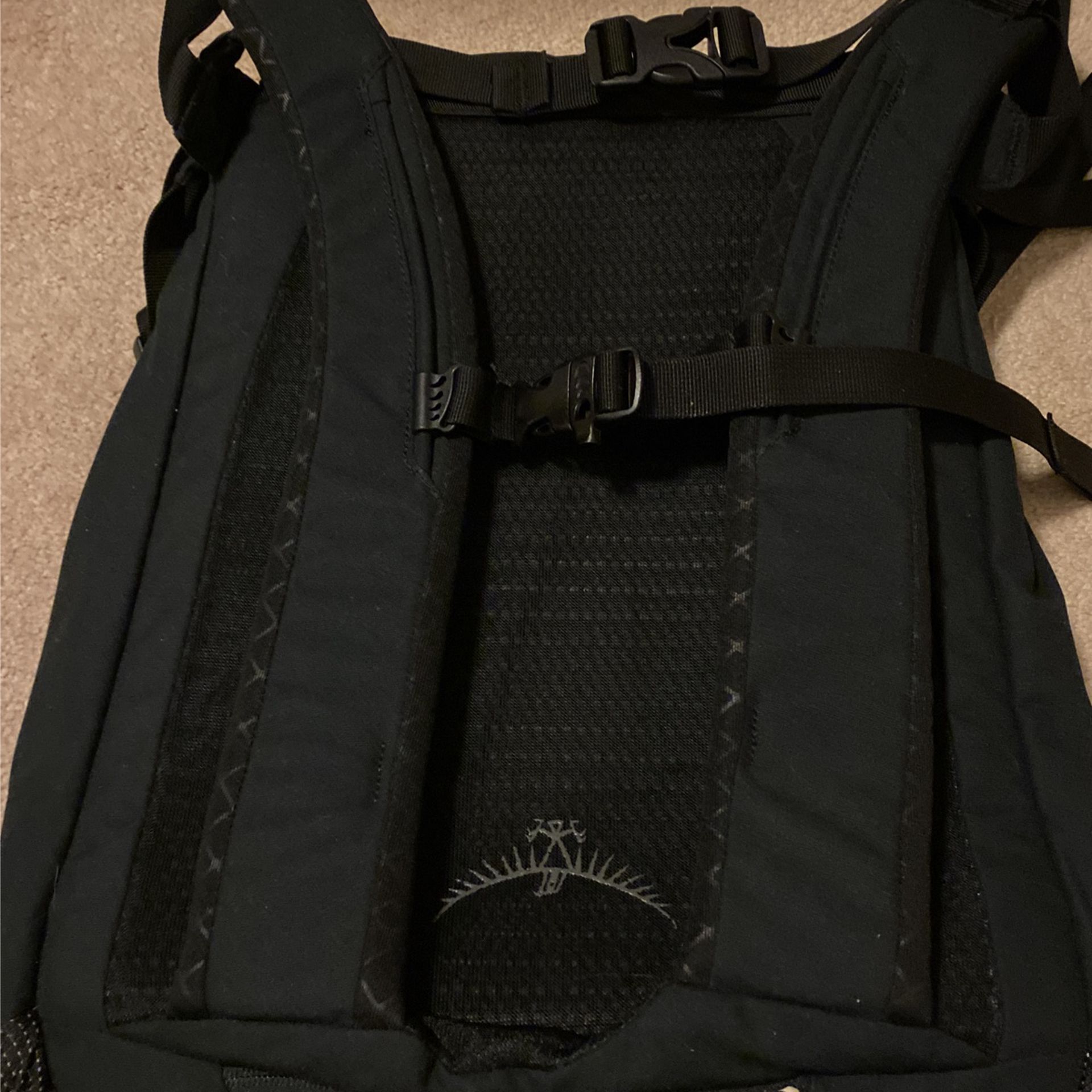 Osprey Pixel Backpack
