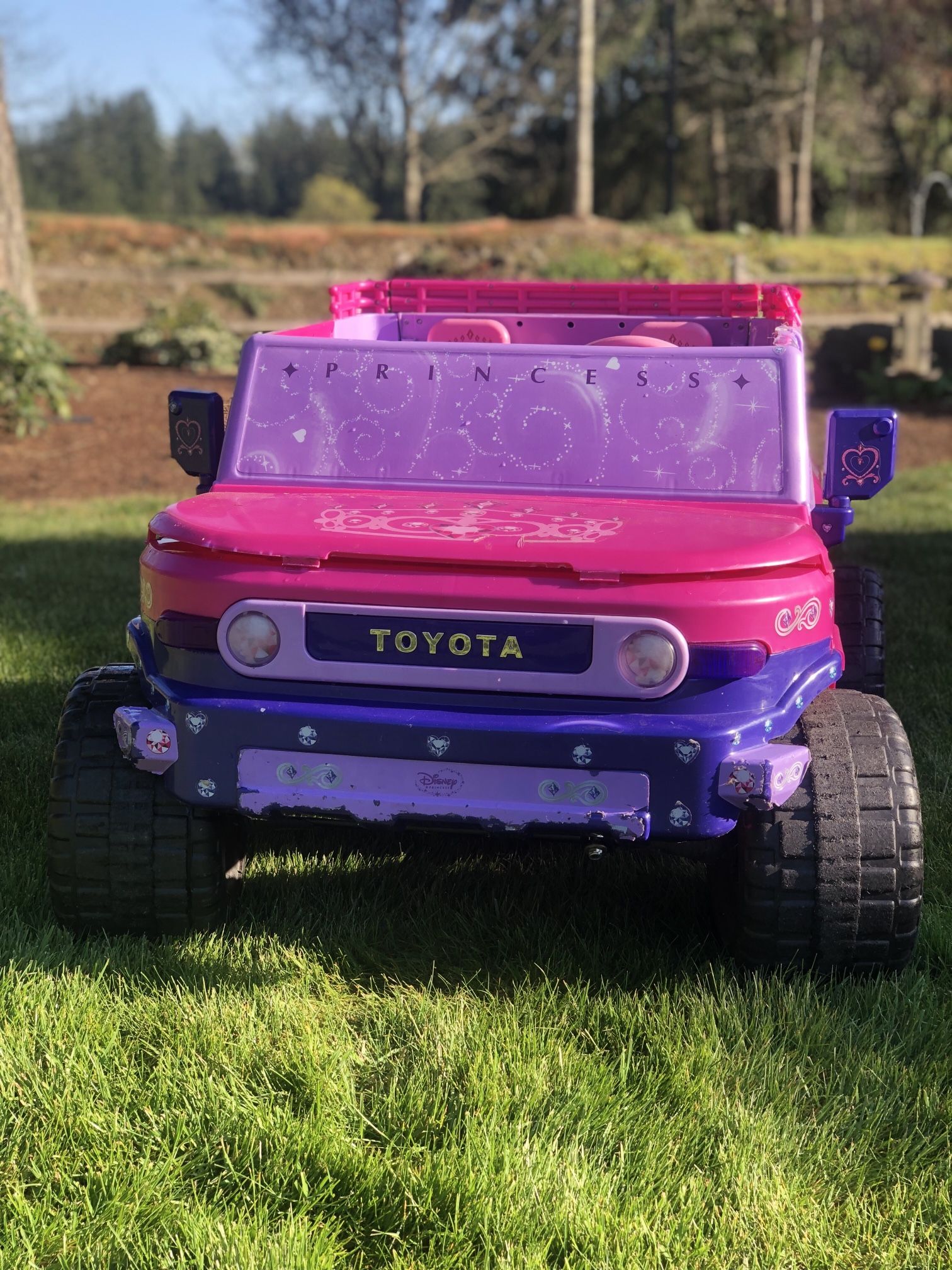 Toyota Girls Princess FJ Cruiser Rider | Toyota FJ Cruiser Forum