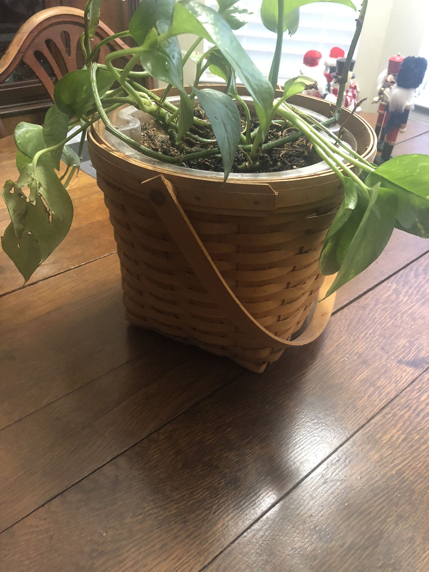 Longaberger Basket And Plant