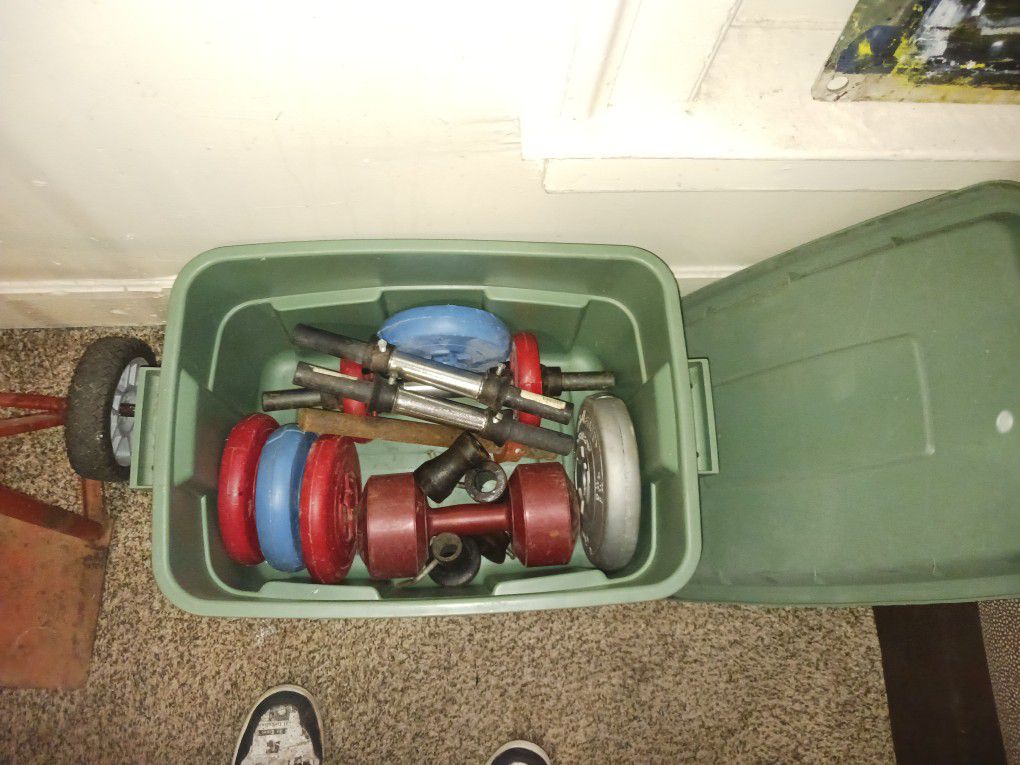 Free Weights And Bars And Clamps 5 Pounders A 8.8 Pounder And A 10 Pounder