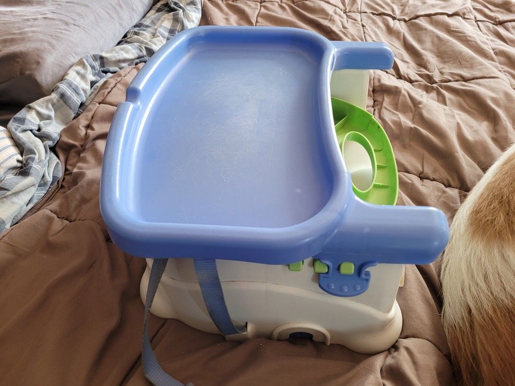 Evenflo Booster Seat