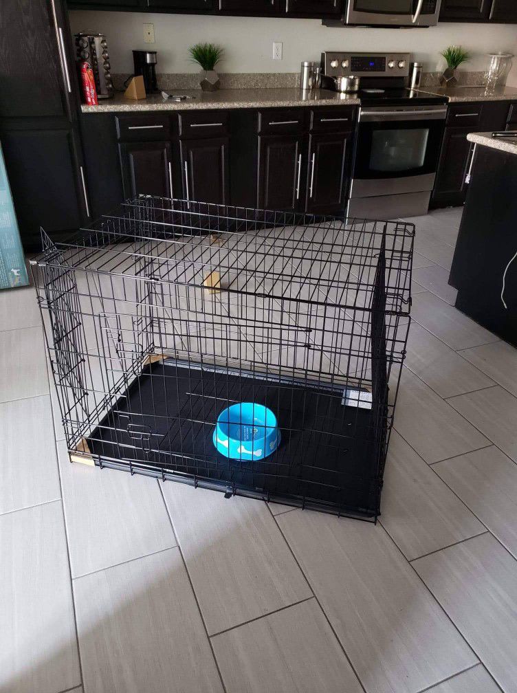 Brand New Dog Cage MEDIUM Never Use Clean Foldable Fit Any Car Pick Up Only Phoenix