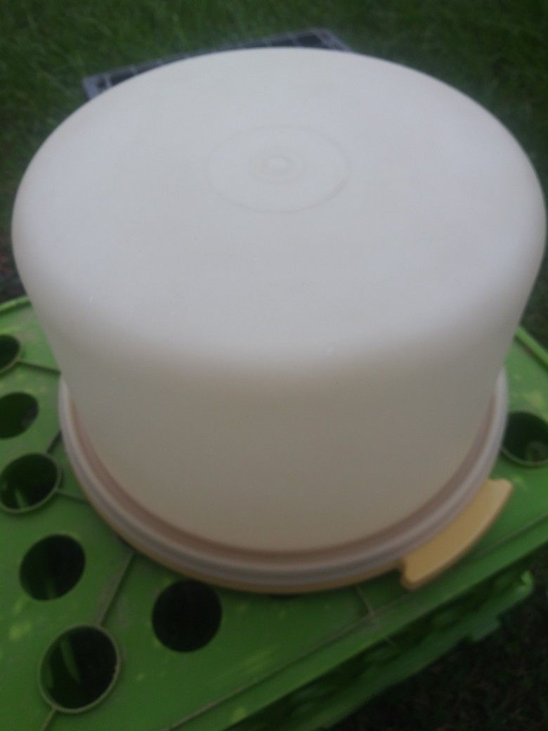 Cake And Sandwich Travel Holders