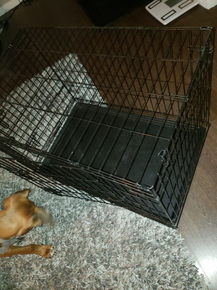 Medium dog kennel great condition!