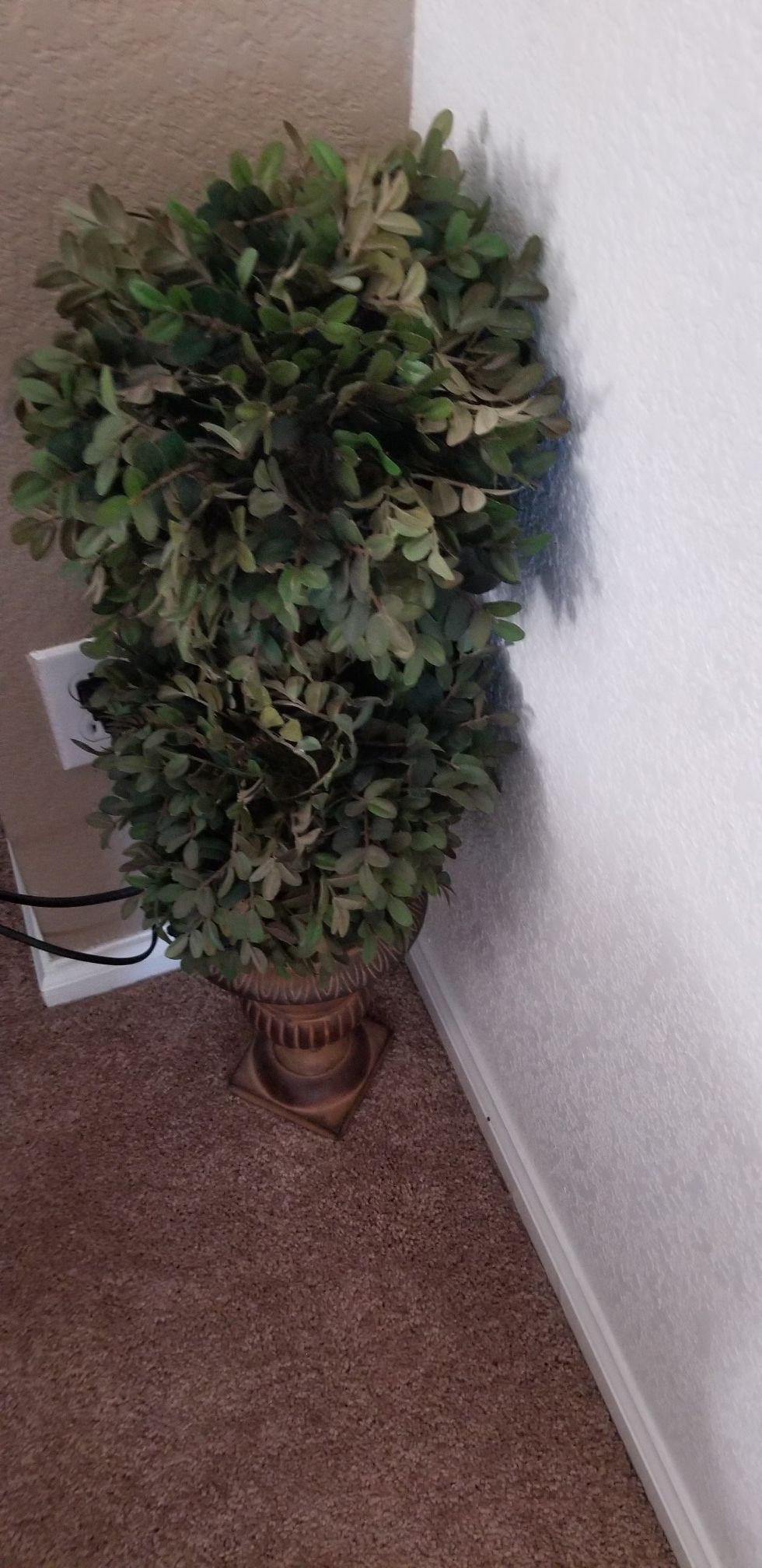 Topiary